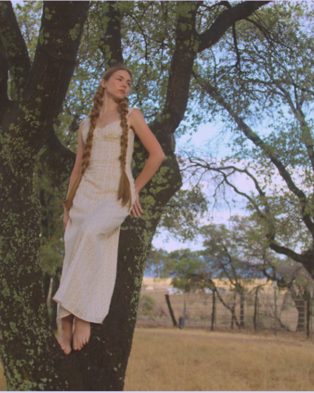 Dina Wood