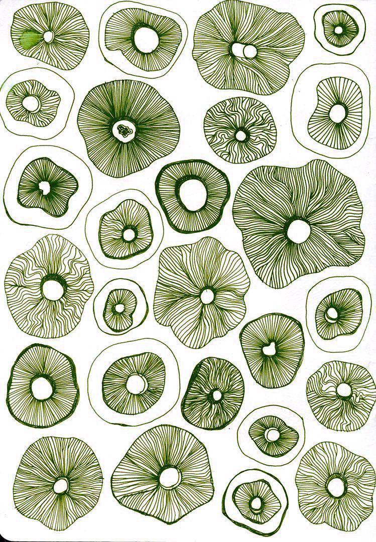 Green botanical line-art illustration of organic blooming forms